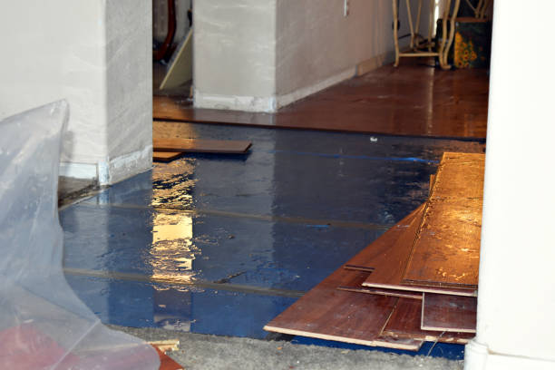 Professional Water Damage Restoration technician working in Decatur, OH